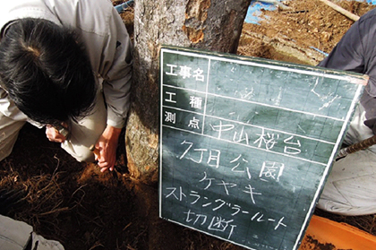 樹木医審査画像１